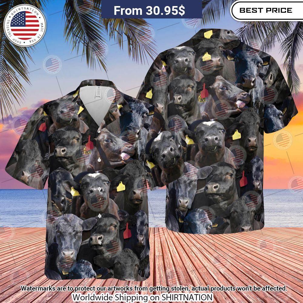 Bunch of Black Angus Hawaiian Shirt Pic of the century