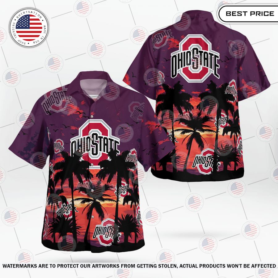 Ohio State Coconut Tree Hawaiian Shirt Two little brothers rocking together