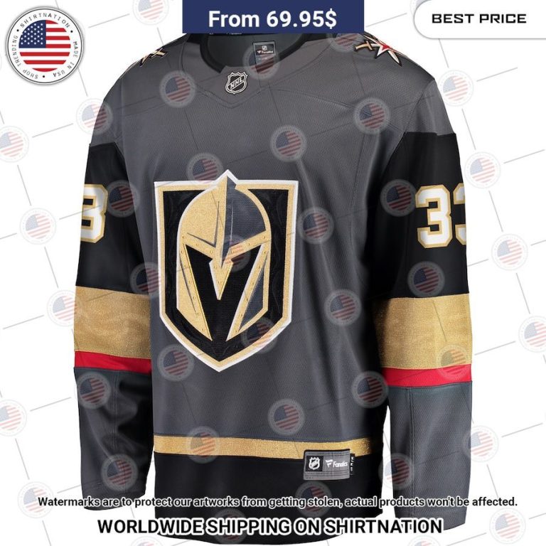 Adin Hill Vegas Golden Knights Alternate Gray Hockey Jersey Long time