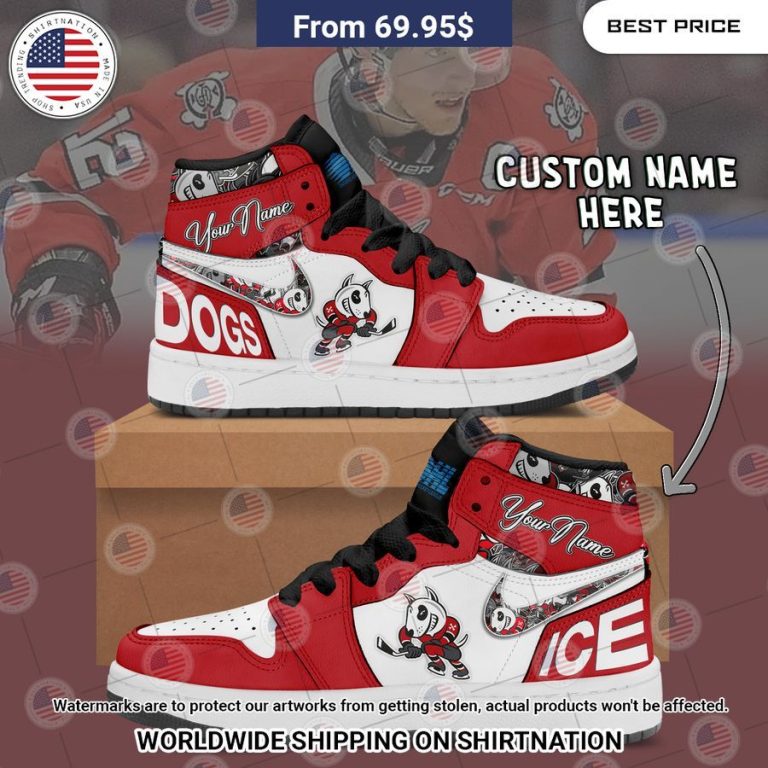 Niagara IceDogs Custom Air Jordan 1 Looking so nice