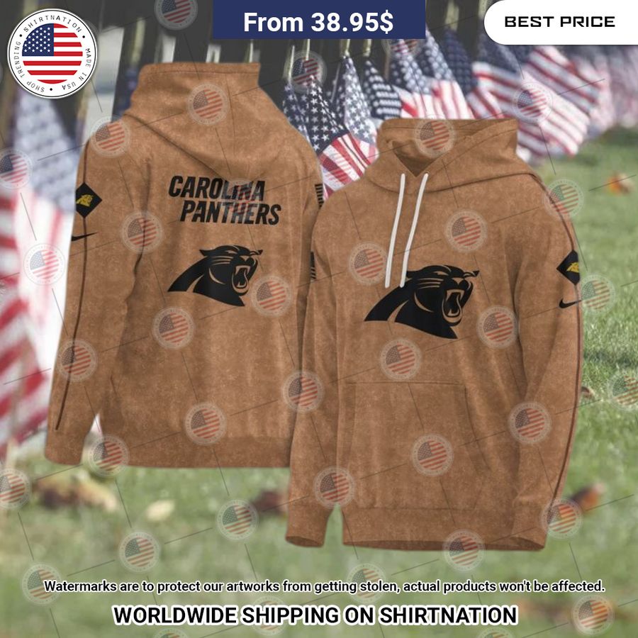 Carolina Panthers 2023 Salute To Service Hoodie You are always amazing