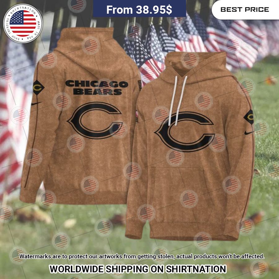 Chicago Bears 2023 Salute To Service Hoodie I like your hairstyle
