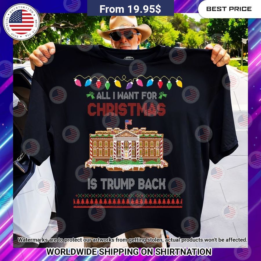 BEST All I Want For Christmas Is Trump Back Shirt Hey! You look amazing dear