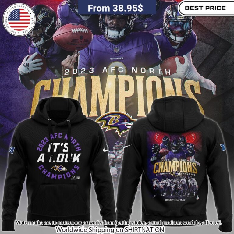 2023 afc north division champions baltimore ravens hoodie 1 665.jpg