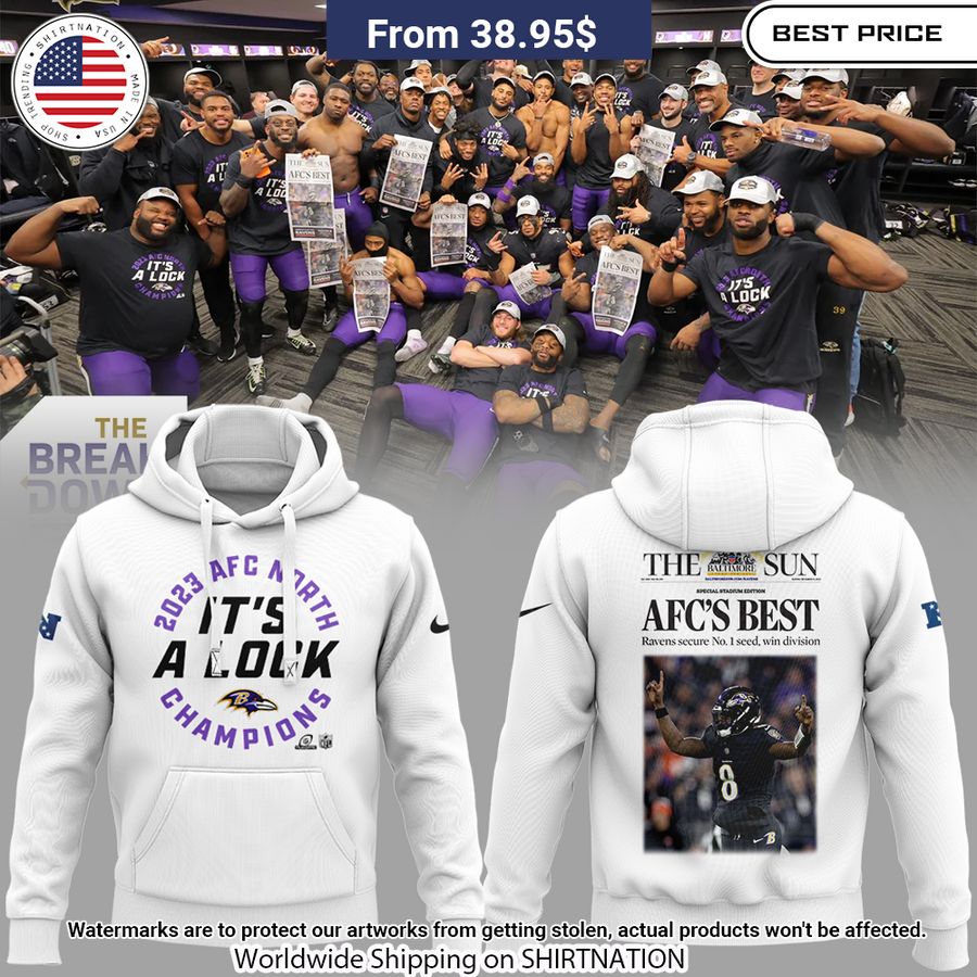 Baltimore Ravens 2023 AFC North division Champions Hoodie Awesome Pic guys