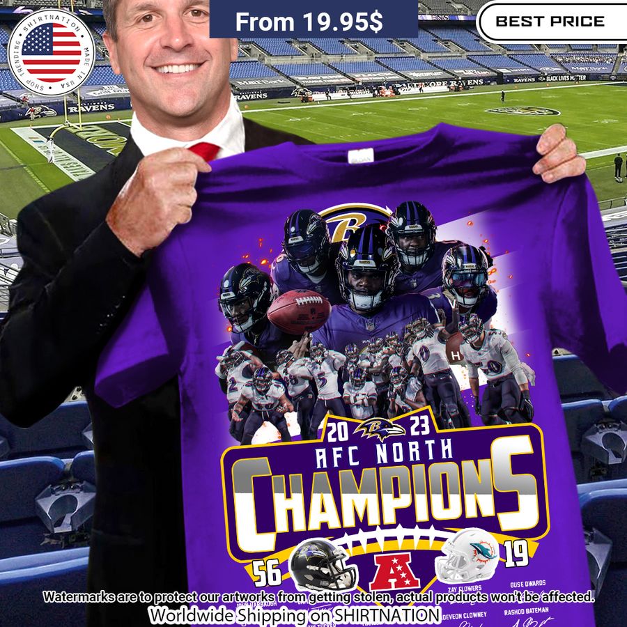 Baltimore Ravens AFC North Champions Shirt This is awesome and unique