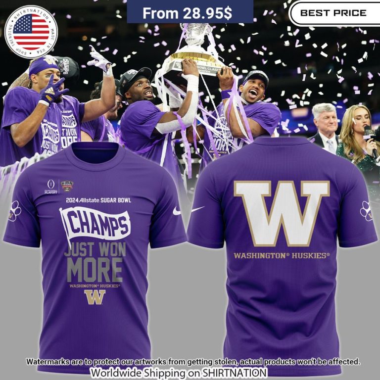 Washington Huskies Just Won More Champion Shirt You look beautiful forever