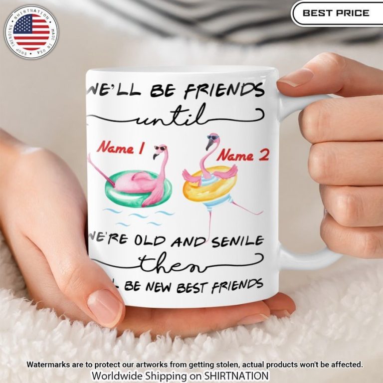 We'll be friend until we're old and senile Flamingo Mug Nice photo dude