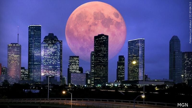 Don’t Miss April’s Pink Moon! Here’s How to See It