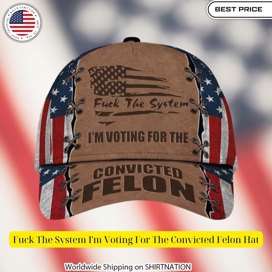 fuck the system im voting for the convicted felon hat 2