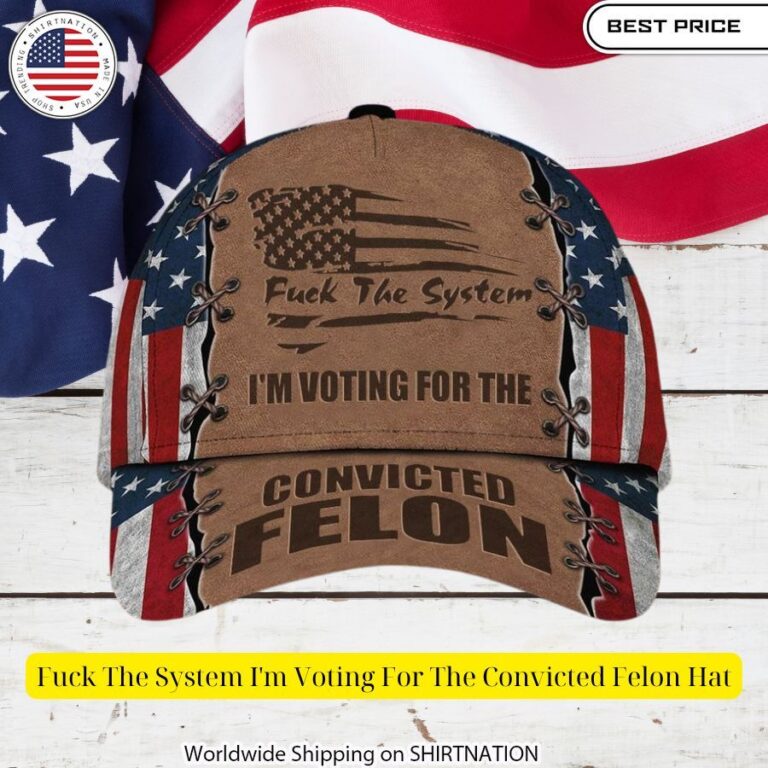 fuck the system im voting for the convicted felon hat 3