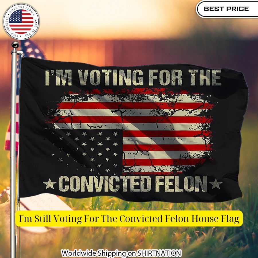im still voting for the convicted felon house flag 1