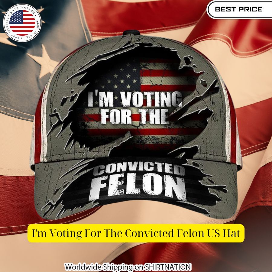 I'm Voting For The Convicted Felon US Hat Best picture ever